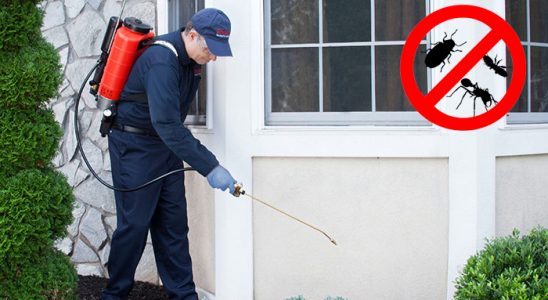 Espiye Dezenfeksiyon böcek ilaçlama ve haşere kontrolü — ilaclama-tr.com